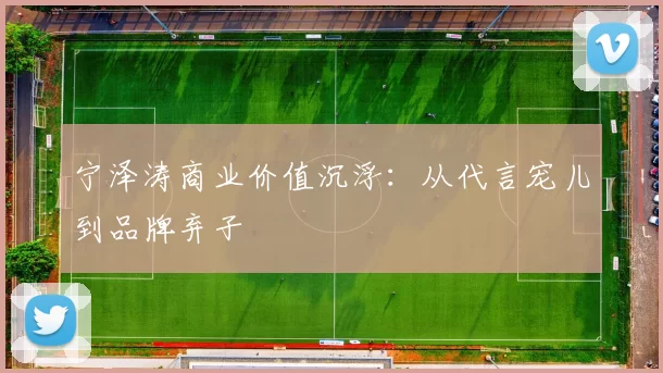 宁泽涛商业价值沉浮：从代言宠儿到品牌弃子