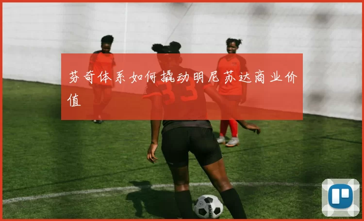 芬奇体系如何撬动明尼苏达商业价值